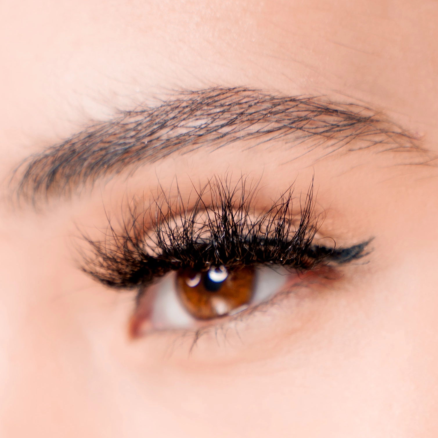 dayz lash strip close-up on brown eye