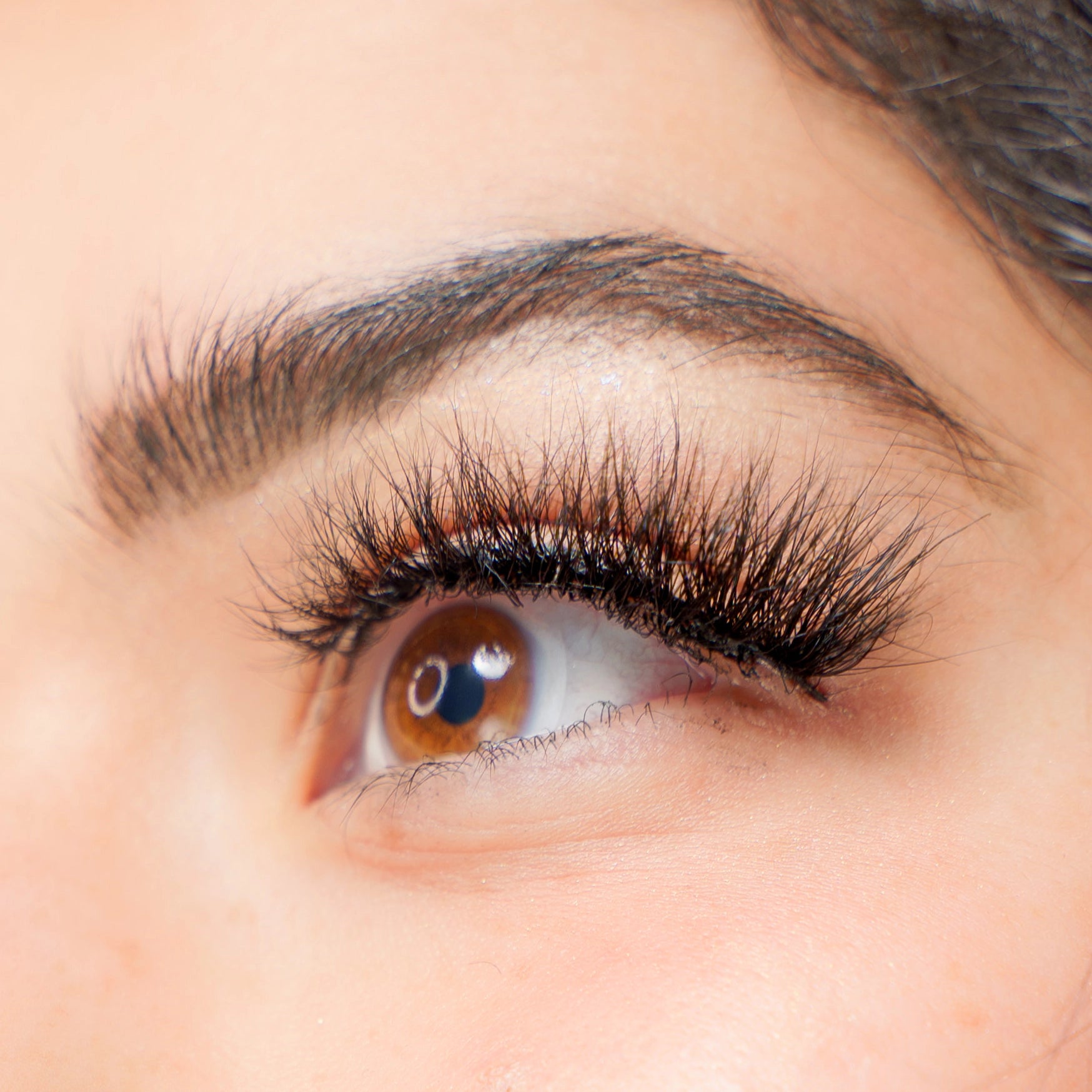 dreamy lashes close up brown eyes